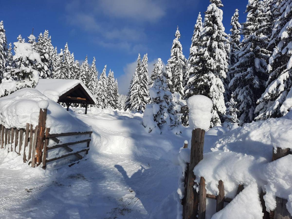Vila Jelena Jahorina Luaran gambar