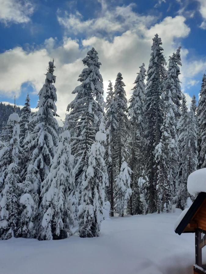 Vila Jelena Jahorina Luaran gambar
