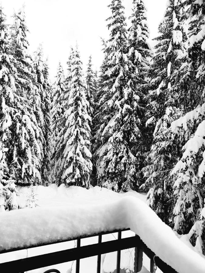 Vila Jelena Jahorina Luaran gambar