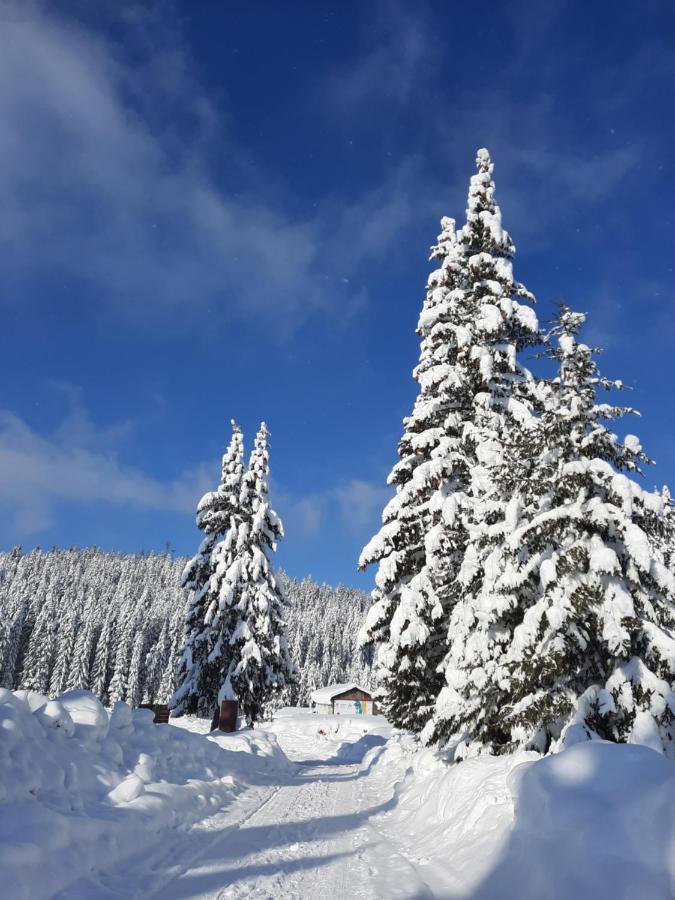 Vila Jelena Jahorina Luaran gambar