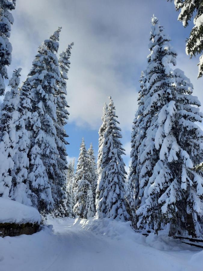 Vila Jelena Jahorina Luaran gambar