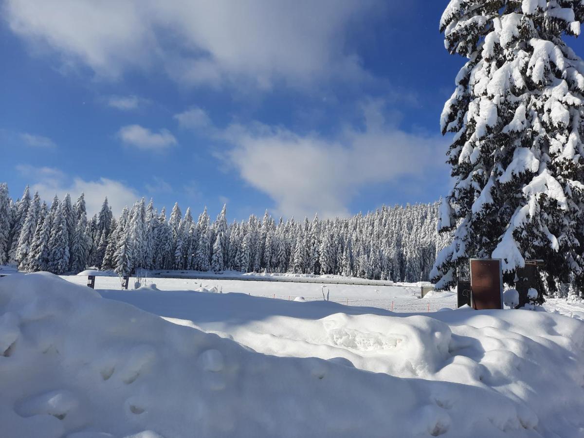 Vila Jelena Jahorina Luaran gambar
