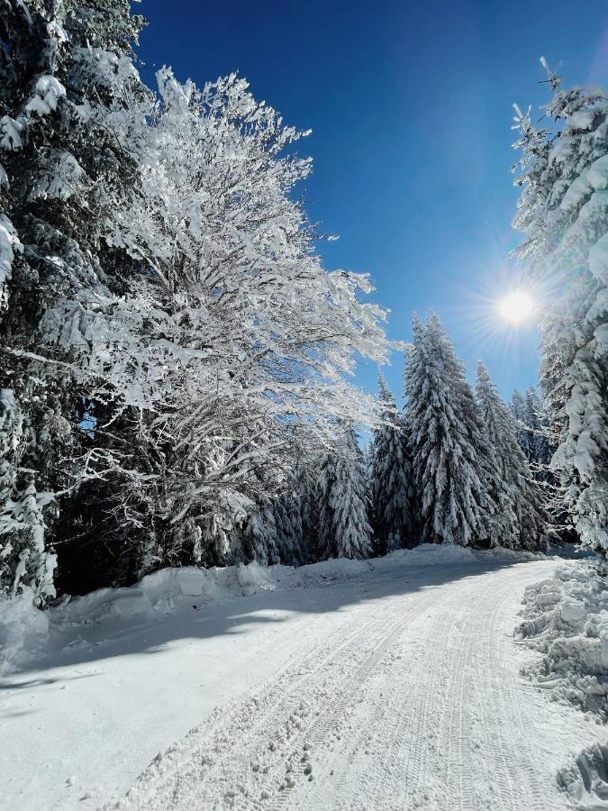 Vila Jelena Jahorina Luaran gambar